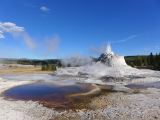 WYOMING A YELLOWSTONE 04 Castel geyser